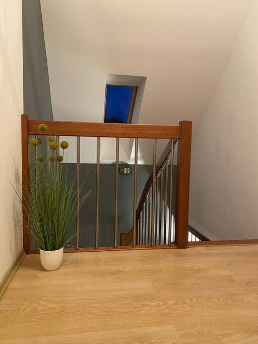 4 Bedroom Family House With Access To A Hot Tub Goczałkowice-Zdrój Εξωτερικό φωτογραφία