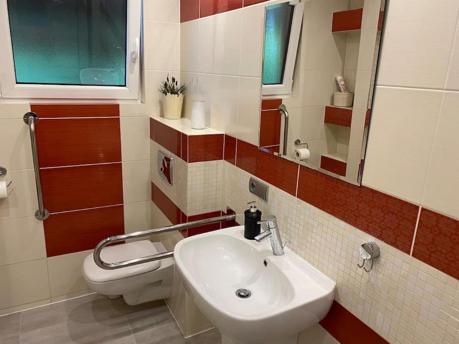 4 Bedroom Family House With Access To A Hot Tub Goczałkowice-Zdrój Εξωτερικό φωτογραφία