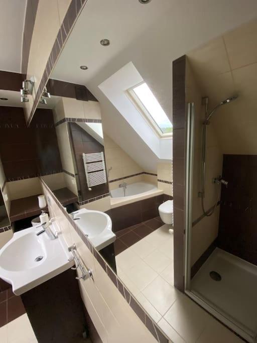 4 Bedroom Family House With Access To A Hot Tub Goczałkowice-Zdrój Εξωτερικό φωτογραφία