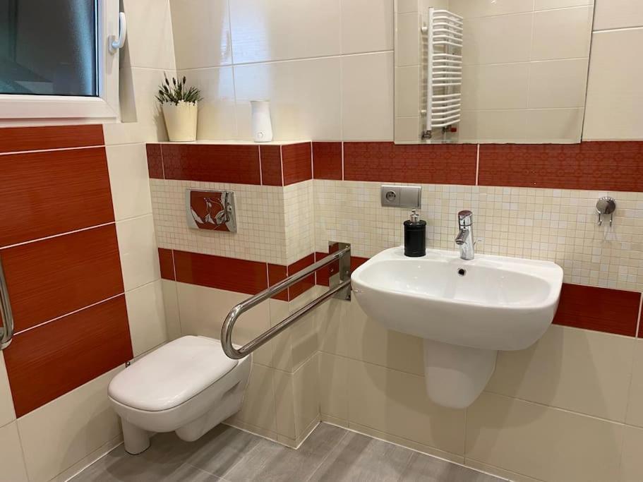 4 Bedroom Family House With Access To A Hot Tub Goczałkowice-Zdrój Εξωτερικό φωτογραφία