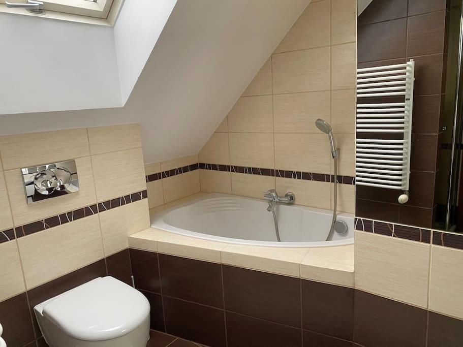 4 Bedroom Family House With Access To A Hot Tub Goczałkowice-Zdrój Εξωτερικό φωτογραφία