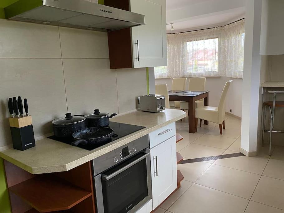 4 Bedroom Family House With Access To A Hot Tub Goczałkowice-Zdrój Εξωτερικό φωτογραφία
