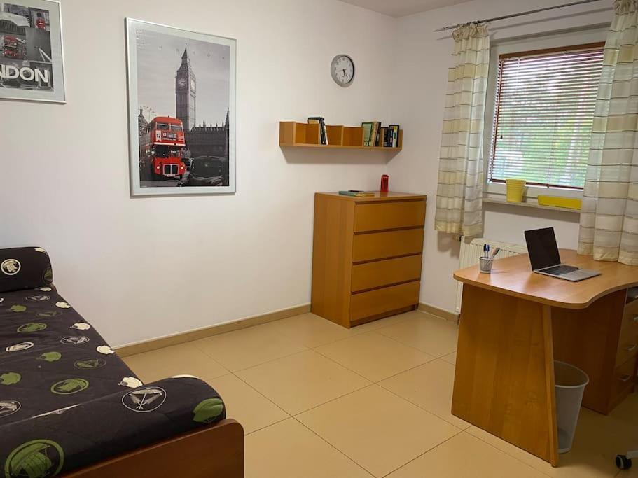 4 Bedroom Family House With Access To A Hot Tub Goczałkowice-Zdrój Εξωτερικό φωτογραφία