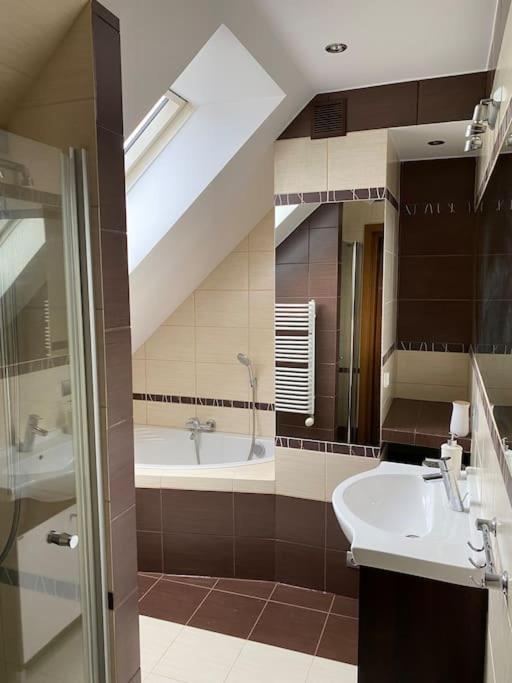 4 Bedroom Family House With Access To A Hot Tub Goczałkowice-Zdrój Εξωτερικό φωτογραφία