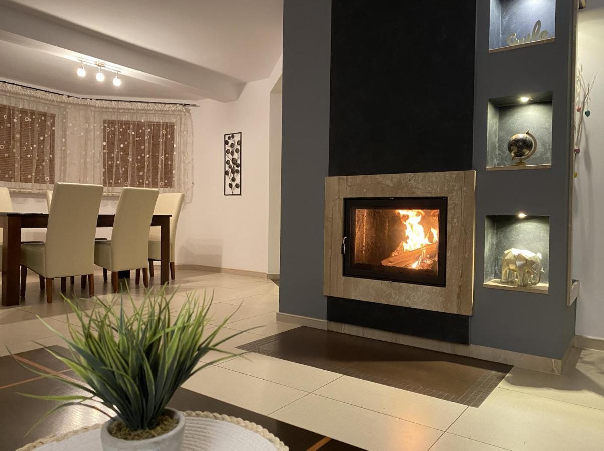 4 Bedroom Family House With Access To A Hot Tub Goczałkowice-Zdrój Εξωτερικό φωτογραφία